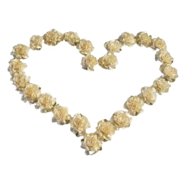 White and Golded Ribbon Rosette 1 1/2 in. 25 ct - Picture 2 of 2